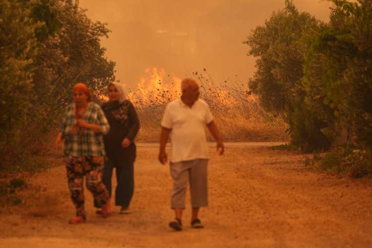 <p><strong>2021 Türkiye Orman Yangınları</strong></p>

<p> </p>

<p> </p>

<ul>
</ul>
