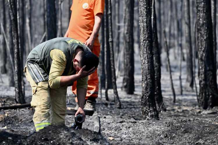 <p>Orman işçilerinden Erdal İncebacak ise Eskişehir'de orman yangınında şehit olanları rahmetle andı.</p><p> </p>