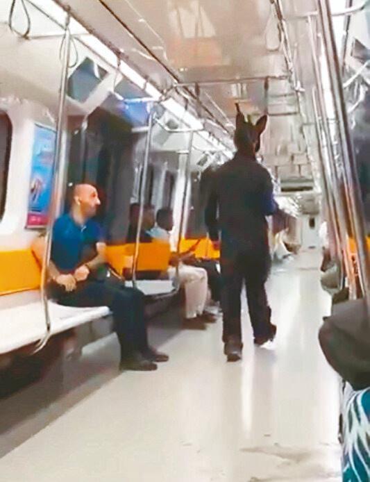 <p>İstanbul Sarıyer’de metroda elinde oyuncak olduğu belirlenen tüfekle gezen tavşan kostümlü A.Y'nin de 15 yaşında olduğu ortaya çıkmıştı.</p>

<p>Çocuğun emniyetteki ifadesinde; “Ayazağa’da maskeli bir partiye katıldım. Parti bitikten sonra eve dönmek için metroya bindim. Elimdeki tüfek tahtadan yapılmış oyuncak bir silah” dediği öğrenildi.</p>

