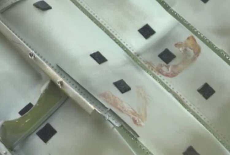 <p><span data-style=