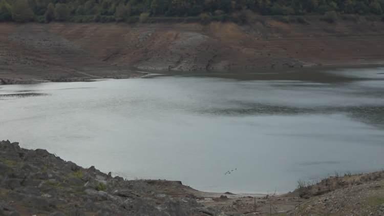 <p><strong><span data-style=