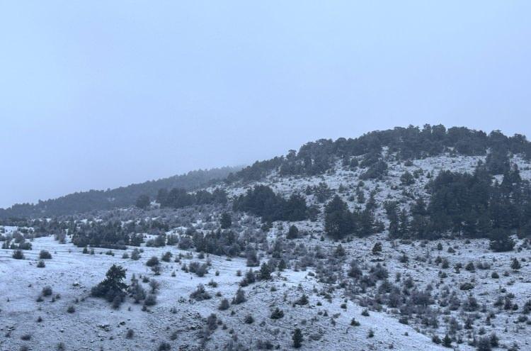 <p><span style="color:#B22222"><strong>BOLU</strong></span></p>

<p>&nbsp;</p>
