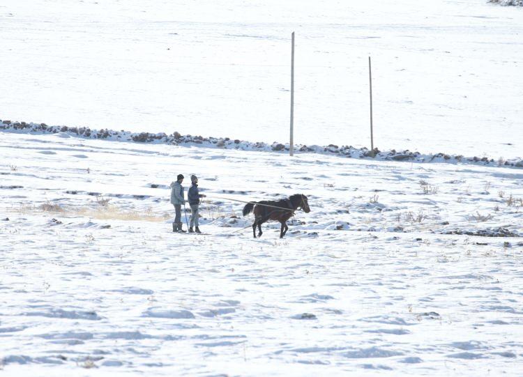 <p><span style="color:#B22222"><strong>KARS</strong></span></p>
