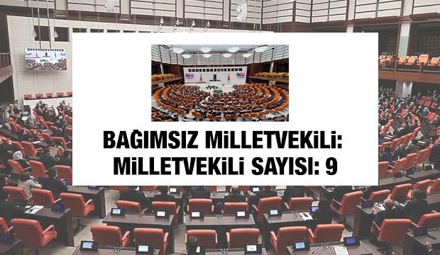 <p><span style="color:#B22222"><strong>BAĞIMSIZ MİLLETVEKİLİ&nbsp;</strong></span></p>
