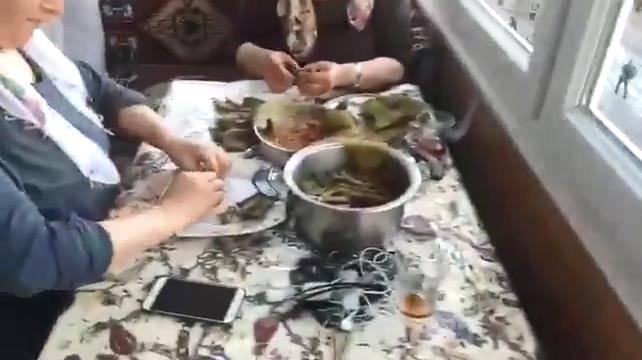 <p>Hamburg'daki Türk kadınlarının ise yaprak sararak olayları izlemesi sosyal medyada büyük yankı buldu.</p>
