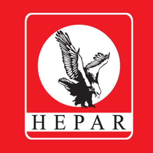 9- Hak ve Eşitlik Partisi
