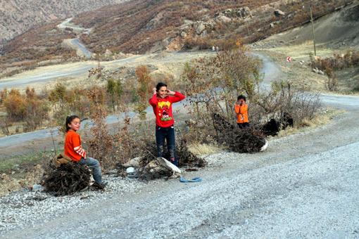 Motorlu araçların gidebileceği yol olmaması nedeniyle yaz mevsimi süresince topladıkları odunları, havaların soğumaya başlamasıyla yük hayvanları ve sırtlarında kilometrelerce uzaklıktan evlerine taşıyan köylülere, çocukları da yardım ediyor.