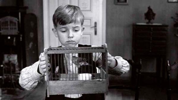 4 - Beyaz Bant (Michael Haneke, 2009)