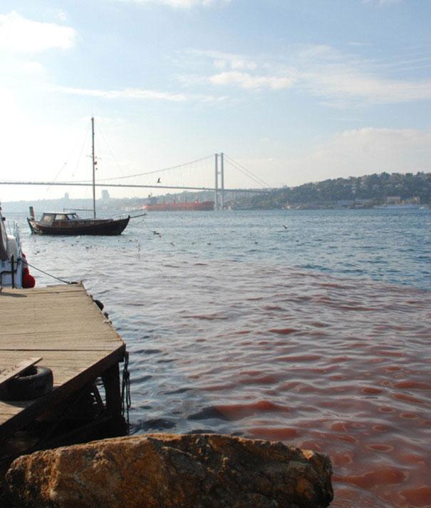 İstanbul'da önceki yıllarda çok tartışılan görüntüler denetimlere rağmen bu senede belli yerlerde yaşanırken, Boğaz'da istenmeyen 'o' görüntünün önüne de geçilememiş oldu.