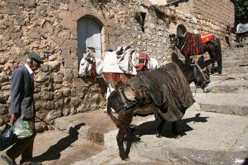 Kültür ve Turizm Bakanlığı tarafından 2001 yılında dünya kültür mirasına aday şehir gösterilen Mardin, ilginç bir girişimde bulundu.