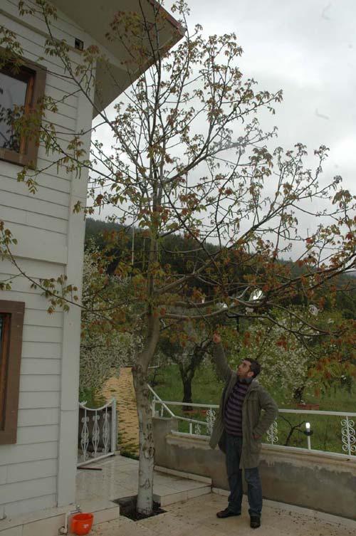 Kahramanmaraş'ta, 4 kardeşin birlikte ölüme gittiği ev ilk kez görüntülendi. İçerideki dünya, en az yaşanan olayın kendisi kadar soğuk ve ürpertici.