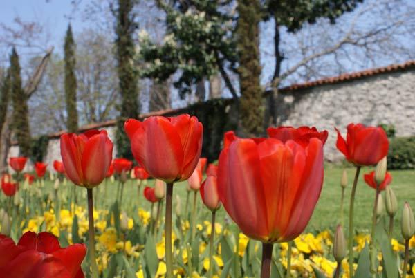 Topkapı Sarayı bahçesi