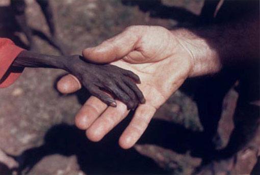 Mike Wells'in bir misyoner papazının elindeki Ugandalı küçük çocuğun elini çektiği bu kare Afrika ülkelerindeki açlık ve sefaletin ölümsüz simgesi oldu