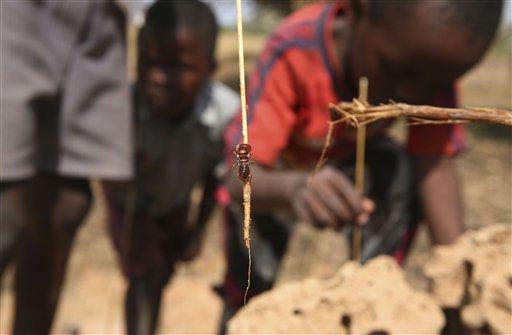 Zimbabve'de yaşam savaşı