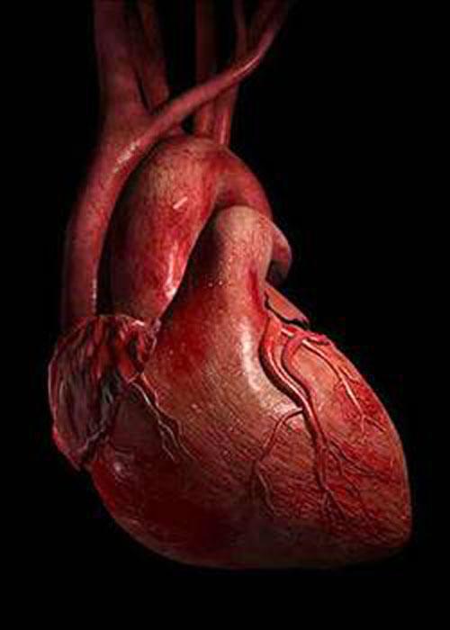 <p>İnsan kalbi dakikada 60-80 defa çarpar