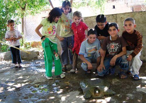 Batman'da köylüler, bir hayvan buldu. Parlak sarı gözleri ve pençeleri olan garip yaratık, köylüleri korkuttu. Ağaçları parçalayacak kadar saldırgan olan yaratığa, çocuklar, Ninja kaplumbağa adını taktı.