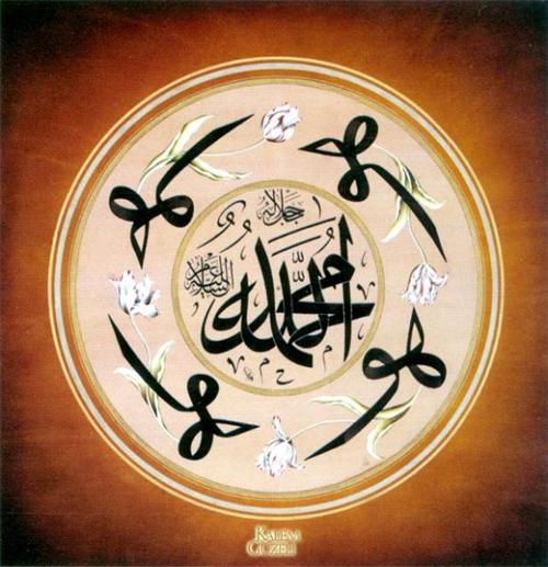 <p><strong><span style="color: #0000ff;">13. Önemli Bir Salavât</span></strong></p>
<p>(Allâhümme salli alâ seyyidinâ Muhammedini'llezî mele'te kalbe- hû min celâlike ve aynehû min cemâlike fe esbaha ferihan mesrûran müeyyeden mensûran ve alâ âlihî ve sahbihî ve sellim teslîmen ve'l- hamdü lillâhi alâ zâlik).</p>
<p>"Allâh'ım! Senin celâlinden kalbini ve cemalinden gözünü dol-durduğun Efendimiz Hz. Muhammed'e rahmet eyle ki ferah, mesrur, desteklenmiş olsun. Onun âline ve ashâbına selâmet lutfeyle. Bütün bunlardan dolayı Allah'a hamdolsun".</p>