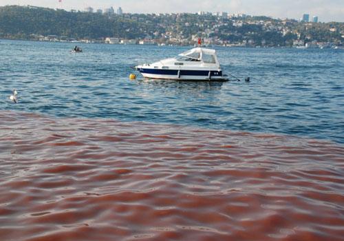 İstanbul'da önceki yıllarda çok tartışılan görüntüler denetimlere rağmen bu senede belli yerlerde yaşanırken, Boğaz'da istenmeyen 'o' görüntünün önüne de geçilememiş oldu.