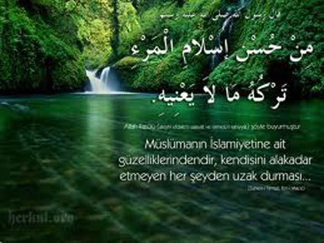 <p><span style="text-decoration: underline;"><strong>CEVAP: Resulullah efendimiz, nasıl dua edileceğini bize öğretmek için, öyle dua etmiştir. Bazıları şöyledir:</strong></span></p>