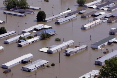 ABD'de Mississippi Nehri'nin taşması sonucu Memphis kentinin büyük bölümü sular altında kalırken, sel sularında çok sayıda yılan ve zehirli böceğin görülmesi büyük panik yarattı.