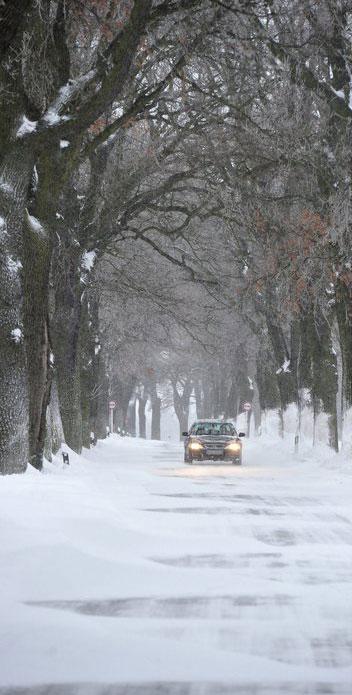 Almanya'nın Brandenburg eyaletinin Sieversdorf kentinde aynı ağaçlık yolun 26 Aralık 2010 tarihinde aynı lerde çekilmiş fotoğrafı... Kar adeta bize aynı yeri farklı bir gibi gösteriyor... Farkı daha net görebilmek için şimdi de iki ayrı fotoğrafı aynı karede görmek için tıklayınız...