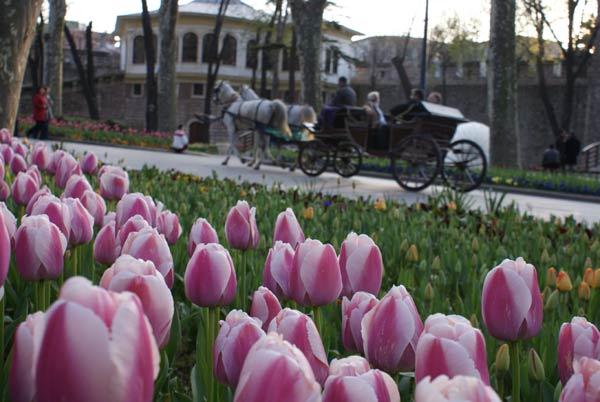 Gülhane Parkı