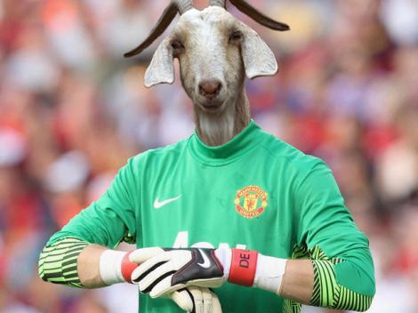 David de Gea