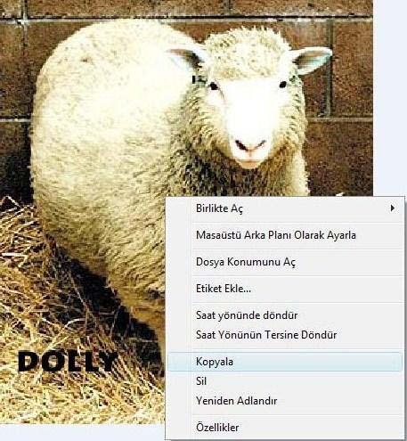 Sağ tuş esprileri