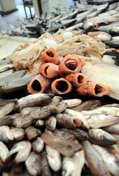 Saldıran balık fiyatlarının geçen seneden biraz daha yüksek olsa da yine de balığın ucuz olduğunu kaydederek, ''Fiyatlar 10 sene öncesinin seviyesinde. Kıymanın kilosu 25 lira. En güzel sardalye 3-4 lira. Yani bir aileyi 3-4 liralık bir kilo sardalye doyurabilir'' şeklinde konuştu.