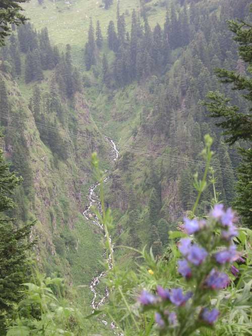 Artvin'den manzaralar