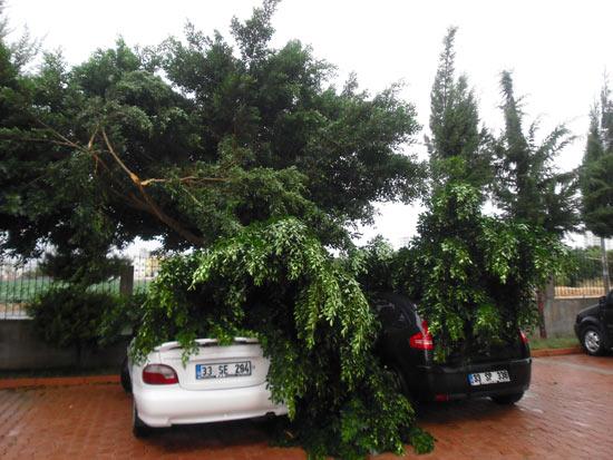 Mersin'de belediye tarafından kapatılmayan çukura 1i belediye otobüsü olmak üzere 3 toplu taşıma aracı düştü. Çukurdan çıkamayan araçlar iş makinesiyle ile çekilerek kurtarılabildi.