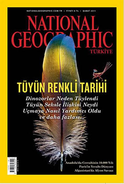 <b>National Geographic Türkiye Şubat 2011</b><br><br>

Kapak: Tüyün Renkli Tarihi

1. Cerrahinin Tarihi
2. Tüylerin Uzun, İlginç ve Abartılı Tarihi
3. Paris'in Derinlikleri
4. Afyon Savaşları
5. Bazıları Soğuk Sever

Editörden
Forum
Sizin Kareniz
Foto Haber: Metrolu Hayat

Doğa Koruma: Efsane Kuş için Yuva
Bilim: Hoşça Kal Helyum

Sarı Çerçeve
Geçmişe Bakış

Editörden
Forum
Sizin Kareniz
Foto Haber
Fotoğraf Yarışması

Nüfus: Dünya Partisi
Arkeoloji: 4000 Boncuk
Kültür: Modern Annelik

Sarı Çerçeve
Geçmişe Bakış