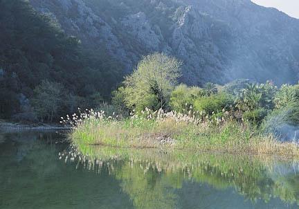Çıralı'dan eşsiz kareler... Fotoğraflar: İsmail Şahinbaş