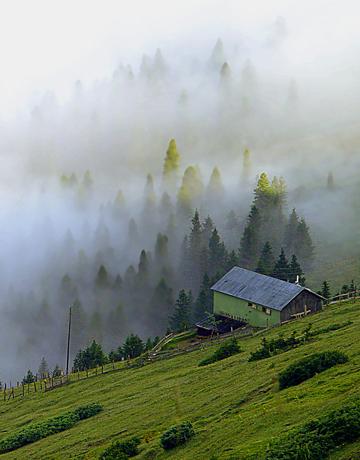 yayla