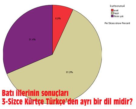 Kürt Sorunu anketi