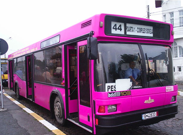 Pembe otobüsler derken...