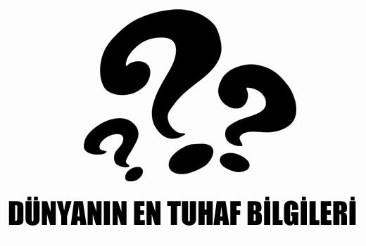 Dünyada hiçbir bilginin gereksiz olamayacağını düşünenler bir de bu tüyolara göz atsınlar. Neler var neler. İşte dünyanın en tuhaf bilgileri..