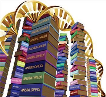 Ürün adı: Ansiklopedi

Getirdiği yıllık kazanç (2010): 976.723.09

Miktarı: 204339

İhraç edilen ülkeler: Azerbaycan, Fransa, Kazakistan