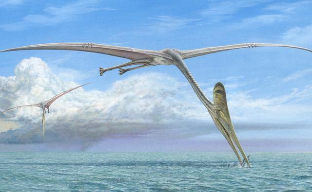 Pterosaur