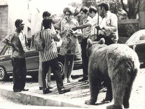 AYI OYNATICILAR: Bir ayı ve ayının burnundaki halkaya geçirilmiş zinciri tutan oynatıcı... Sokak aralarında gezip def çalarak ayı oynatanlara bir zamanlar sıklıkla rastlanırdı. Zamanla ayı oynatmak yasaklandı. Yıllarca işkence gören kocaoğlanlar Uludağ'a bırakıldı.