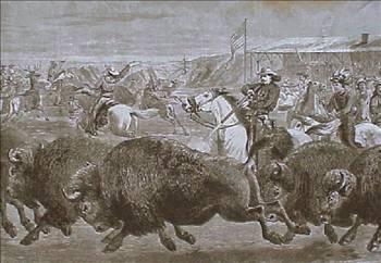 Buffalo Bill bufalolara ne yapıyordu?
Hiçbir şey çünkü Kuzey Amerikada bufalo yoktur. Bufalo kelimesi genellikle, yanlış bir biçimde bizon yerine kullanılır. Ancak söz konusu bizonlrsa Buffalo Bill, on sekiz aydan daha kısa bir sürede bu hayvanlarda 4 bin 280 tane öldürdü.