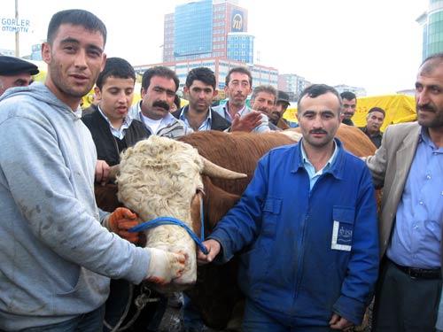 Bağcılar'da kurulan kurban pazarında 'en büyük kurbanlık kimde?' tartışması yaşandı. 400 çadırlık pazarda, en büyük kurbanlıklar görücüye çıkarken, satıcılar arasında 'en büyük kurbanlık kimde?' tartışması yaşandı.