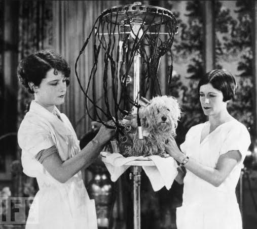 <strong>Perma Makinesi (Marjorie Joyner)
 </strong> <br><br>