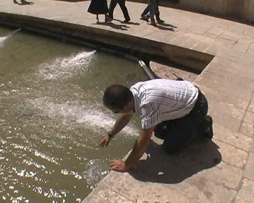 Şanlıurfada yerli ve yabancı turistlerin uğrak yeri olan tarihi Balılgöl, son günlerde suyunda görülen kirlilikten dolayı, bulanık renge dönüştü. Kutsal olduğuna inanılan balıklar çamura battı