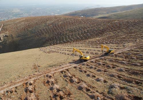 Malatya Valiliği, ilk kez uygulan teknik ile kayalıklara 300 bin çukur açarak Beydağı'nı yeşillendirdi. Artık Malatyalılar Beydağı'nın kel tepeleri yerine yeni filizlenen fidanları görüyor.