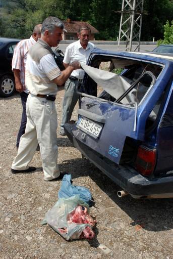 Trafik kazasına karışan bir otomobilin arka kısmında üzeri brandayla örtülü çalıntı buzağı bulunurken, bir de kesik at başı çıktı. 2 Kişi kaçtı, sürücü yakalandı.
