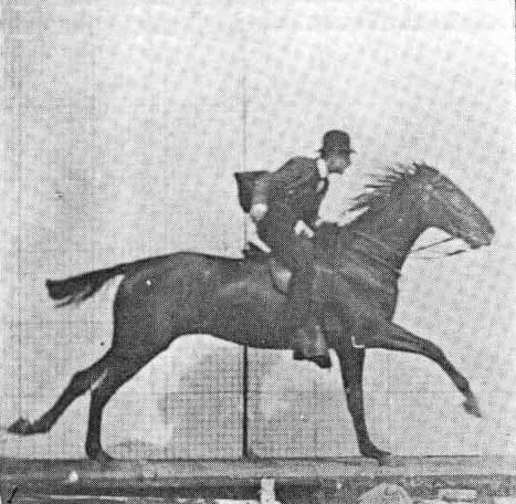 İlk hareketli fotoğraf. İngiliz fotoğrafçı Eadweard Muybridge, bir at yarışında atın dört ayağınında yerde olmadığı anı fotoğraflamayı başarmış. Oniki kamerayla bir seri fotoğraf çekerek bir at yarışını adım adım fotoğraflamış.