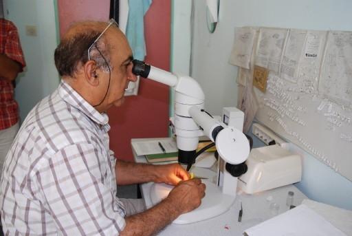 Trakya Üniversitesi (TÜ) Fen Edebiyat Fakültesi Biyoloji Bölümü Başkanı Prof. Dr. Ahmet Beyarslan,  AA muhabirine yaptığı açıklamada, Denizli'nin Kale ilçesinde buldukları canlının dünyada bilinmeyen bir tür olduğunu bildirdi.