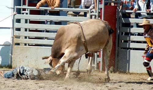 Rodeo esnasında yaşanan tehlikeli anlar...