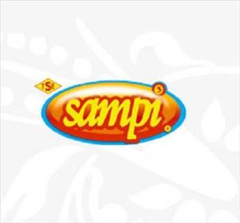 21- Sampi
Sampi 45 olan bayi sayısını yıl sonuna kadar 70'e çıkarmak istiyor. Sampi yeni bayilik alacaklar için giriş bedeli metrekare başına 1.500 TL. Sampi aylık ciro hedefi 50.000 TL ile 150.000 TL arası ve kar marjı %30.